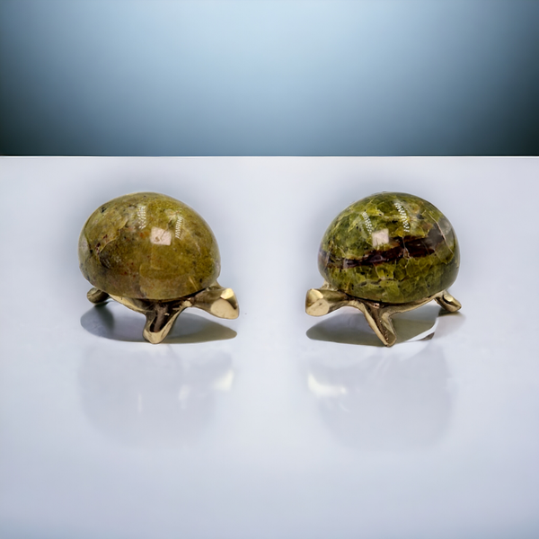 Tortue de Opale pistache