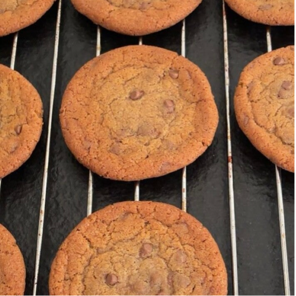 Chocolate Chip Cookie