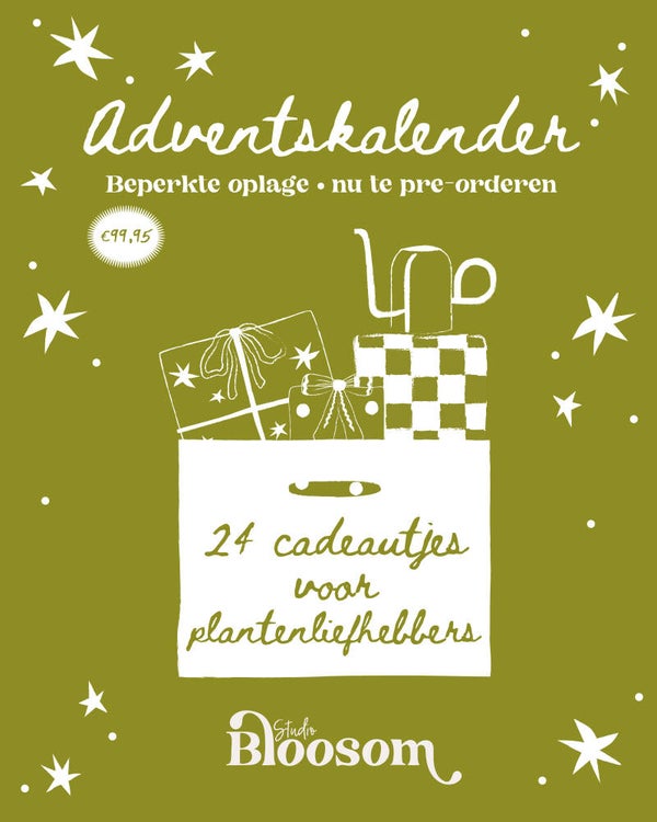 Adventskalender Pre-order