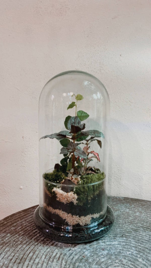 Moederdag workshop