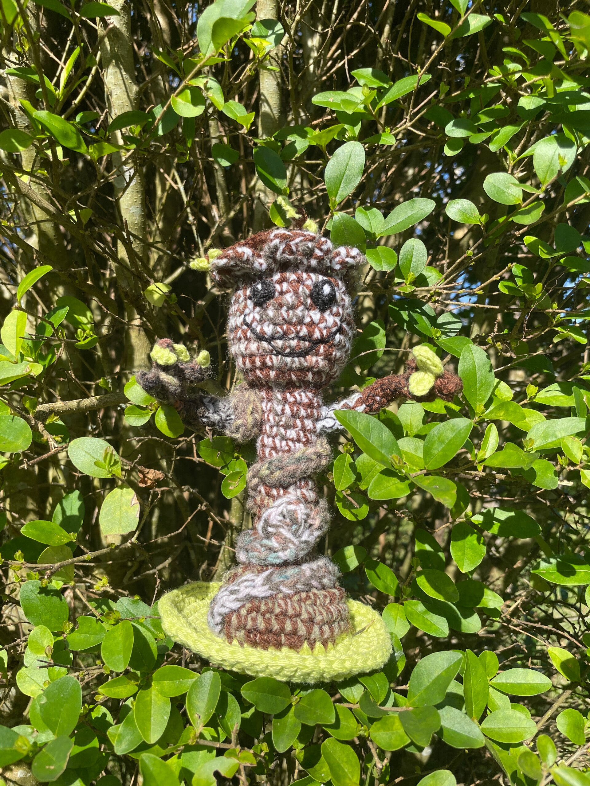 Groot marron dégradé