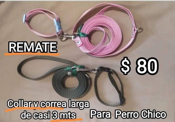 collar y correas para perro chico