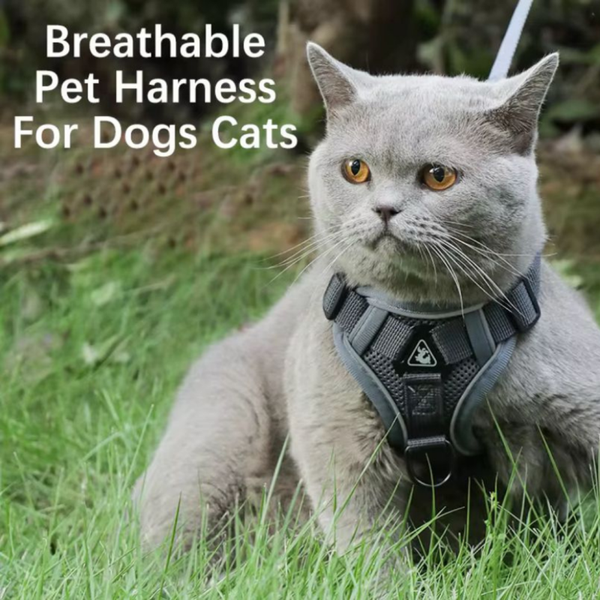 Pet's Reflective Harness