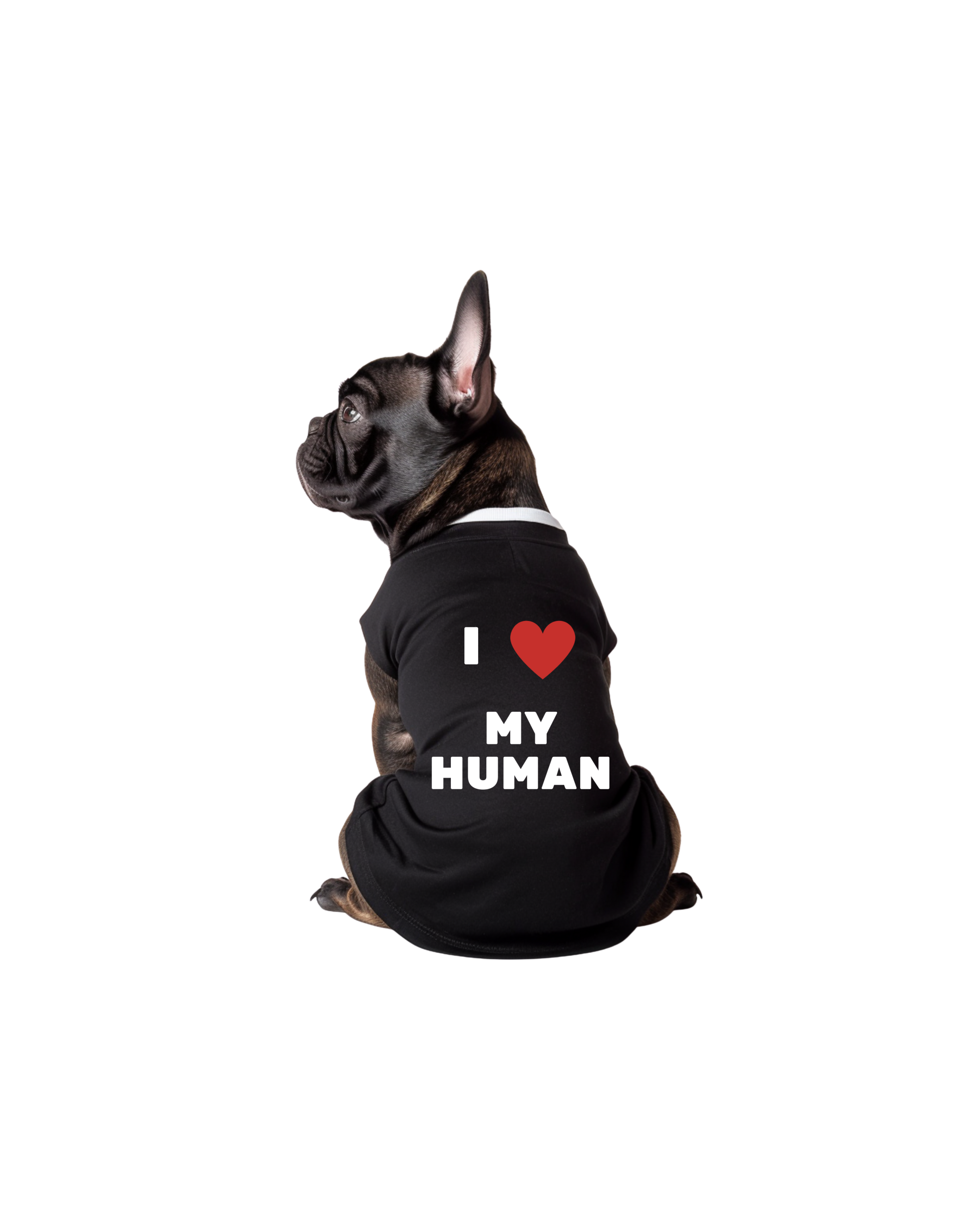 I Love My Human Pet t-shirt