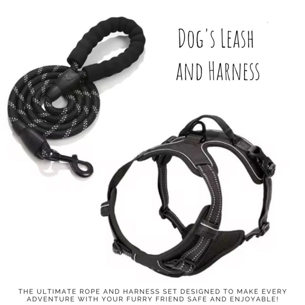 Dog's Leash and Harness