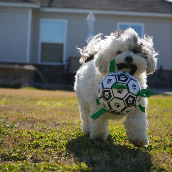 Dog Soccer Ball with Straps
