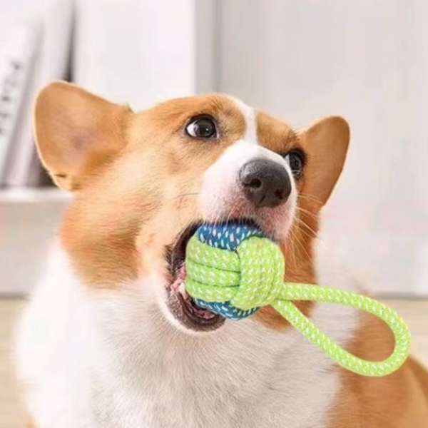 ROPE KNOT TOY