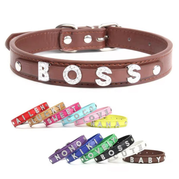 Customized pet collars