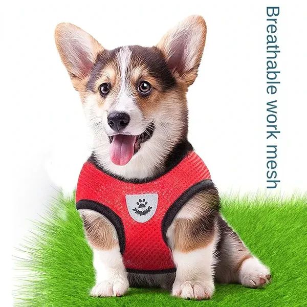 Adjustable and Breathable Pet Harness