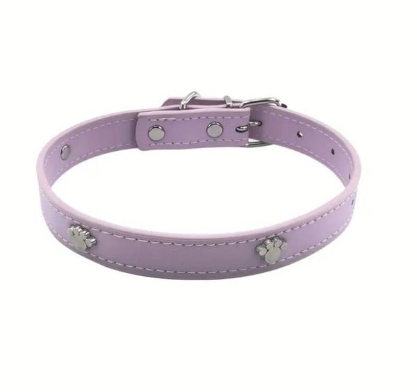 Delicate Paw Collar