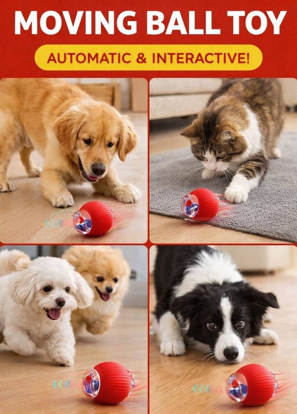 Interactive and Rechargeable Rolling Ball Toy
