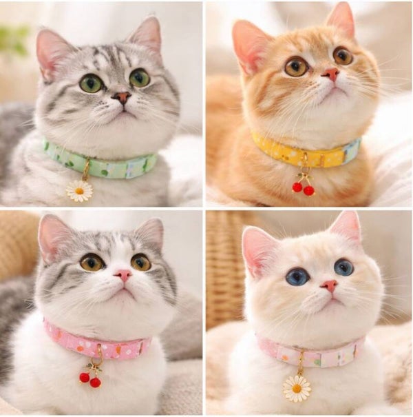 Delicate Pet Charm Collar