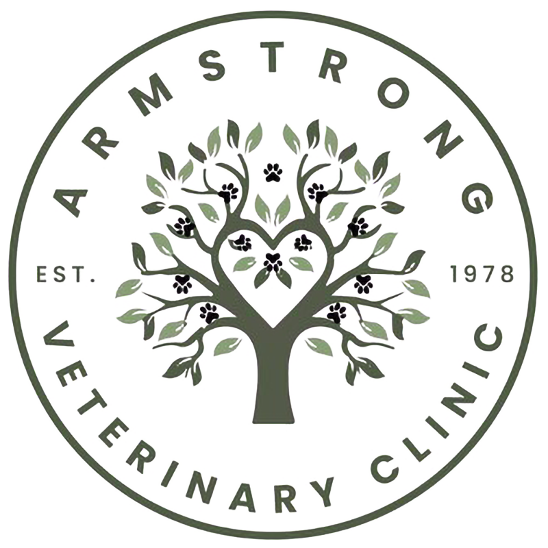 armstrongvetclinicsmall-standard.png