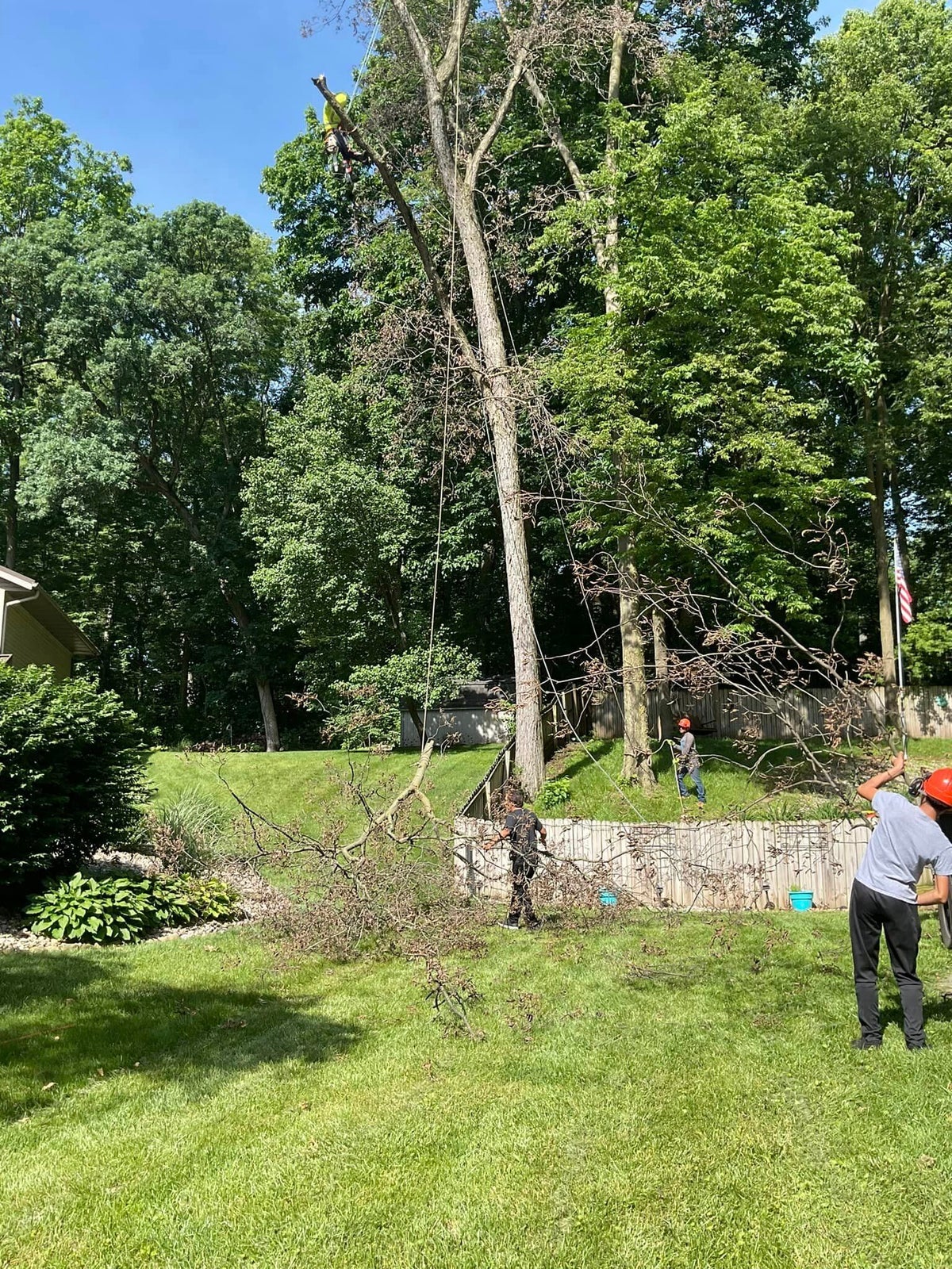 MP Tree Service LLC
