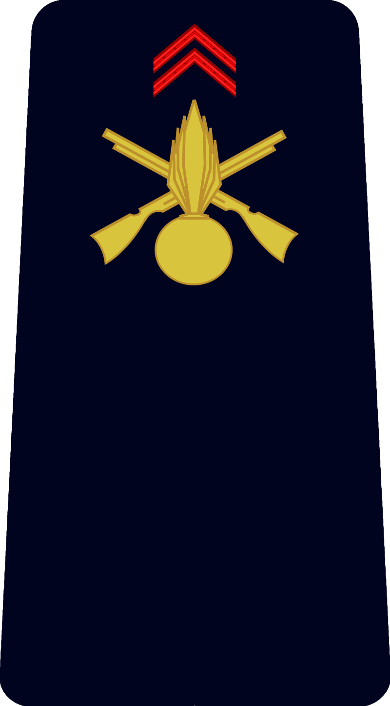 1-soldat-standard-rc5ada.png