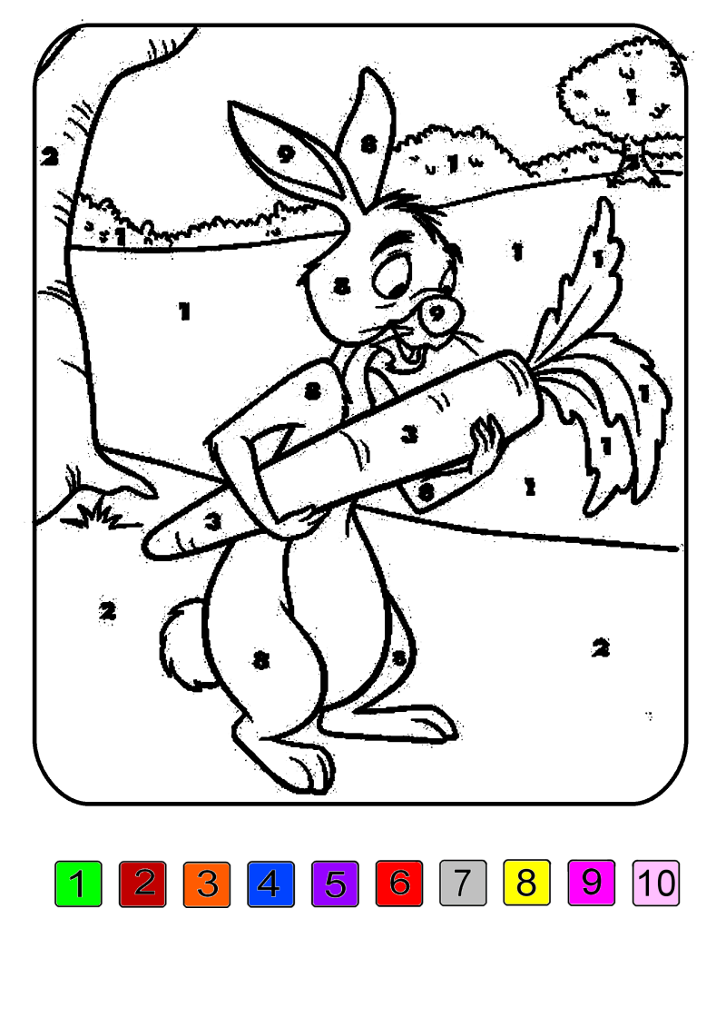 10-couleurs-lapin-standard-dc5ebe.png