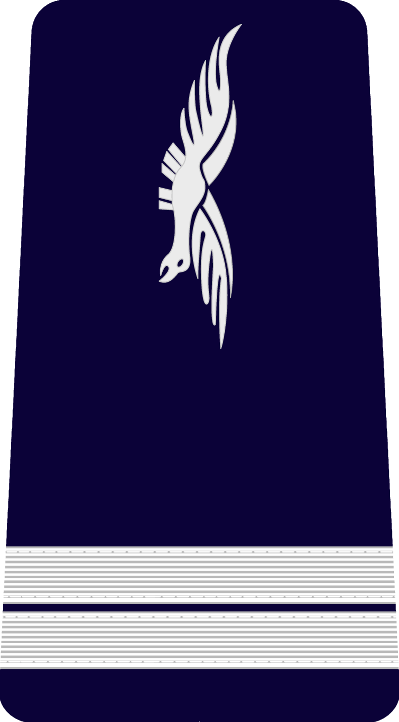 17-lieutenant-standard-32admr.png