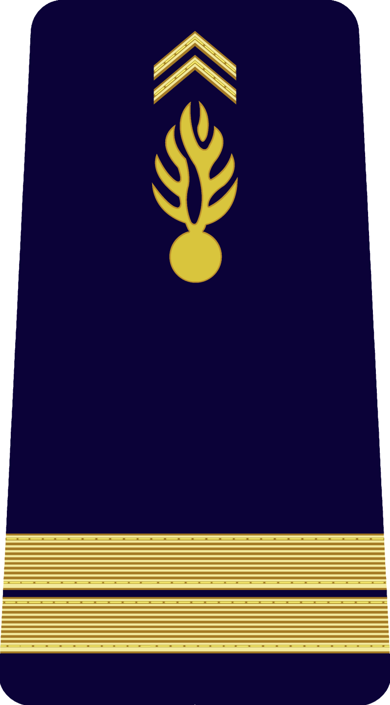 17-lieutenant-standard-69c7be.png