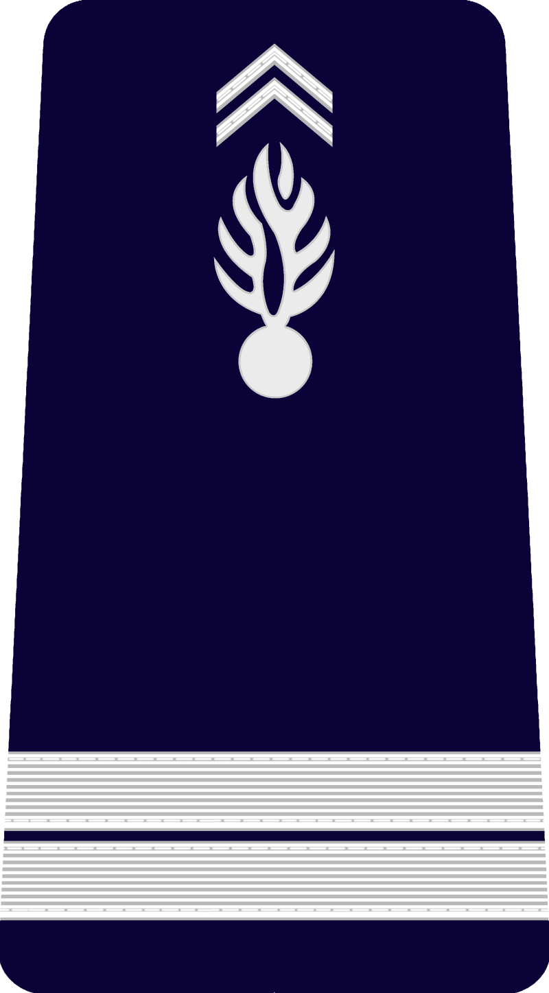 17-lieutenant-standard-k7ks77.png
