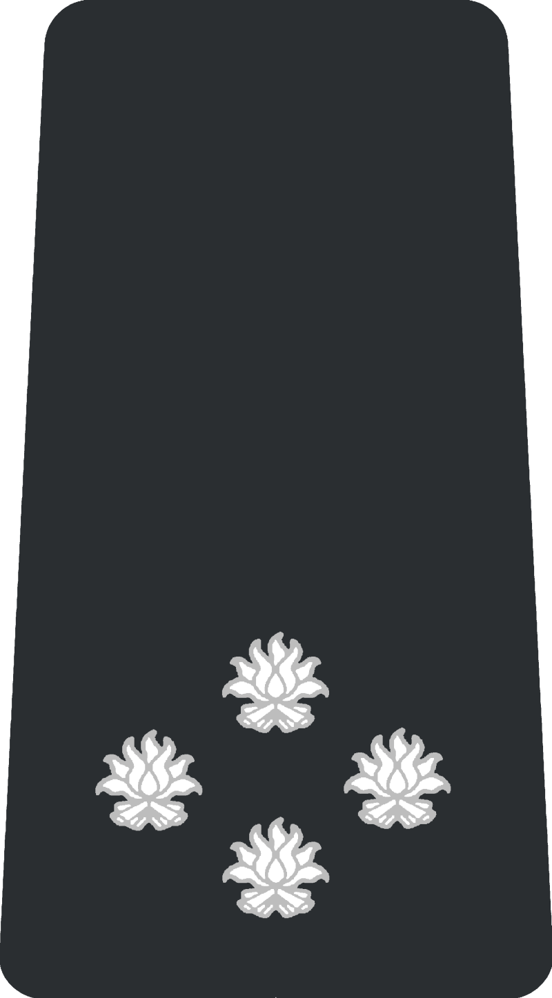 20-chef-de-service-d-g-s-c-g-c-standard.png