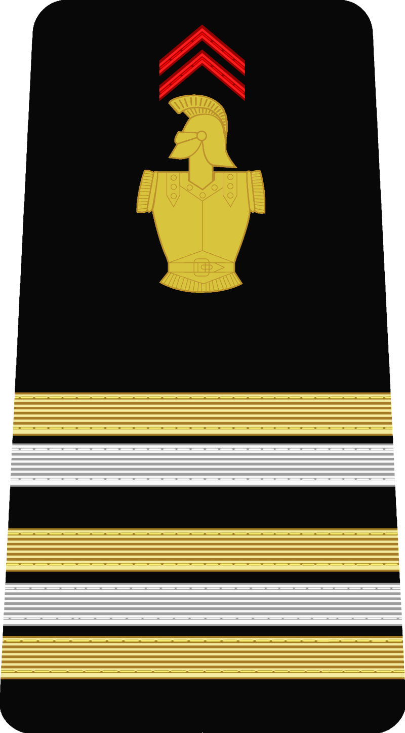 20-lieutenant-colonel-standard-7zdot8.png
