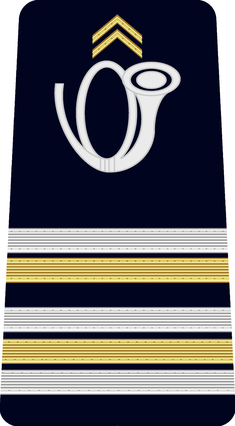 20-lieutenant-colonel-standard-ss92st.png