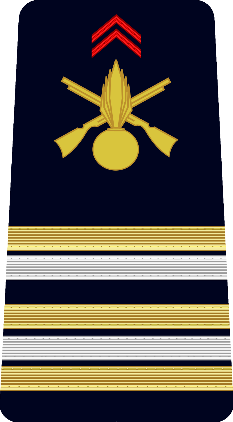 20-lieutenant-colonel-standard.png