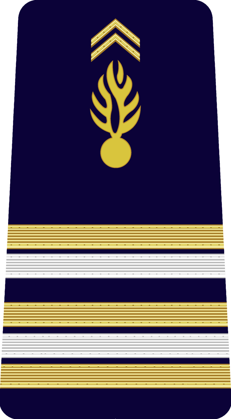 20-lieutenant-standard.png