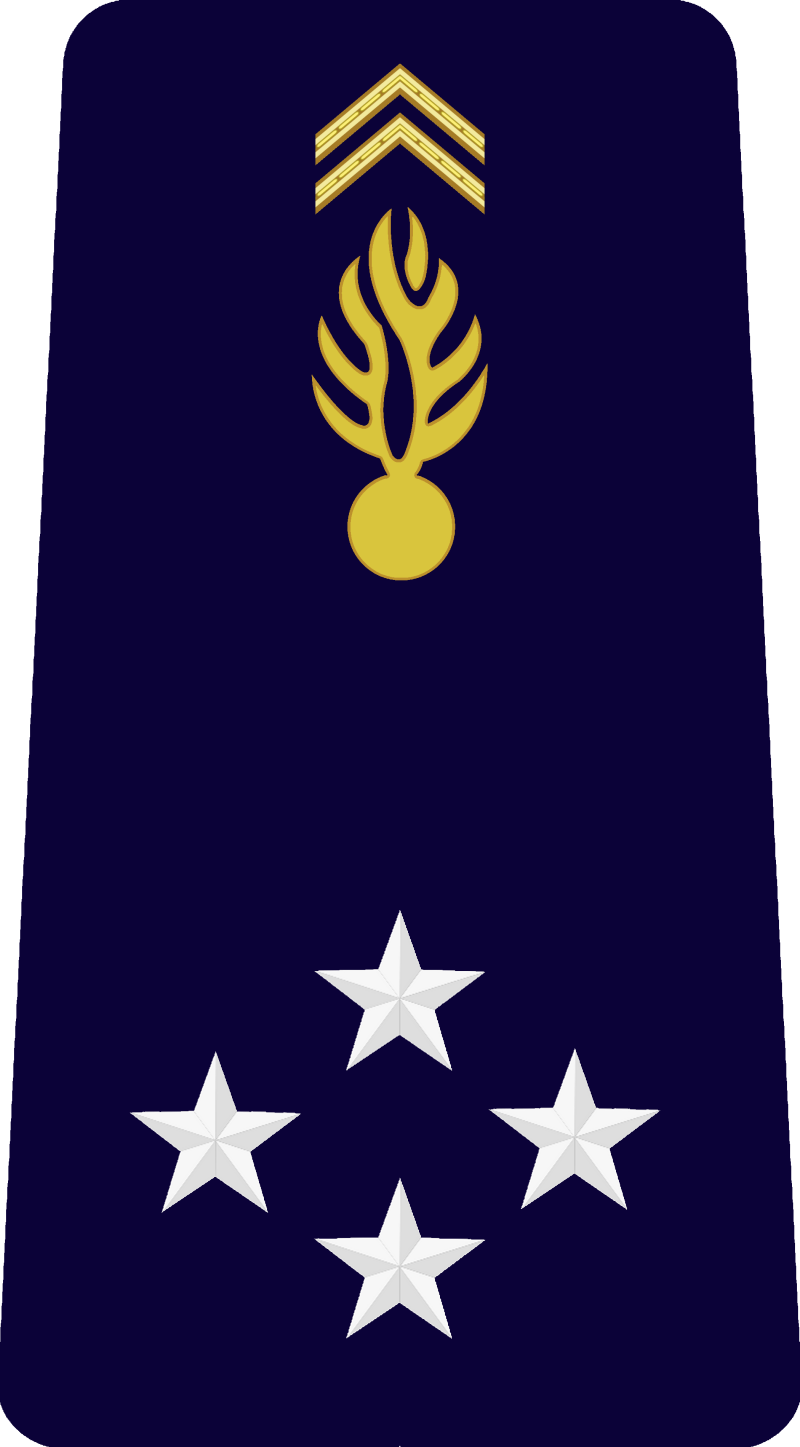 24-g-n-ral-de-corps-d-arm-e-standard-6tfgrq.png