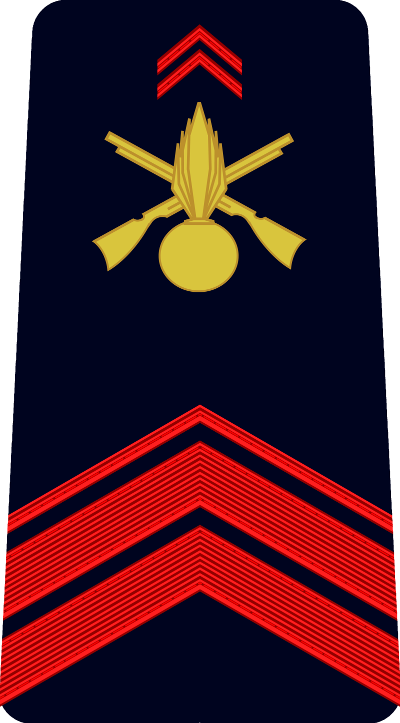 3-caporal-ou-brigadier-standard.png