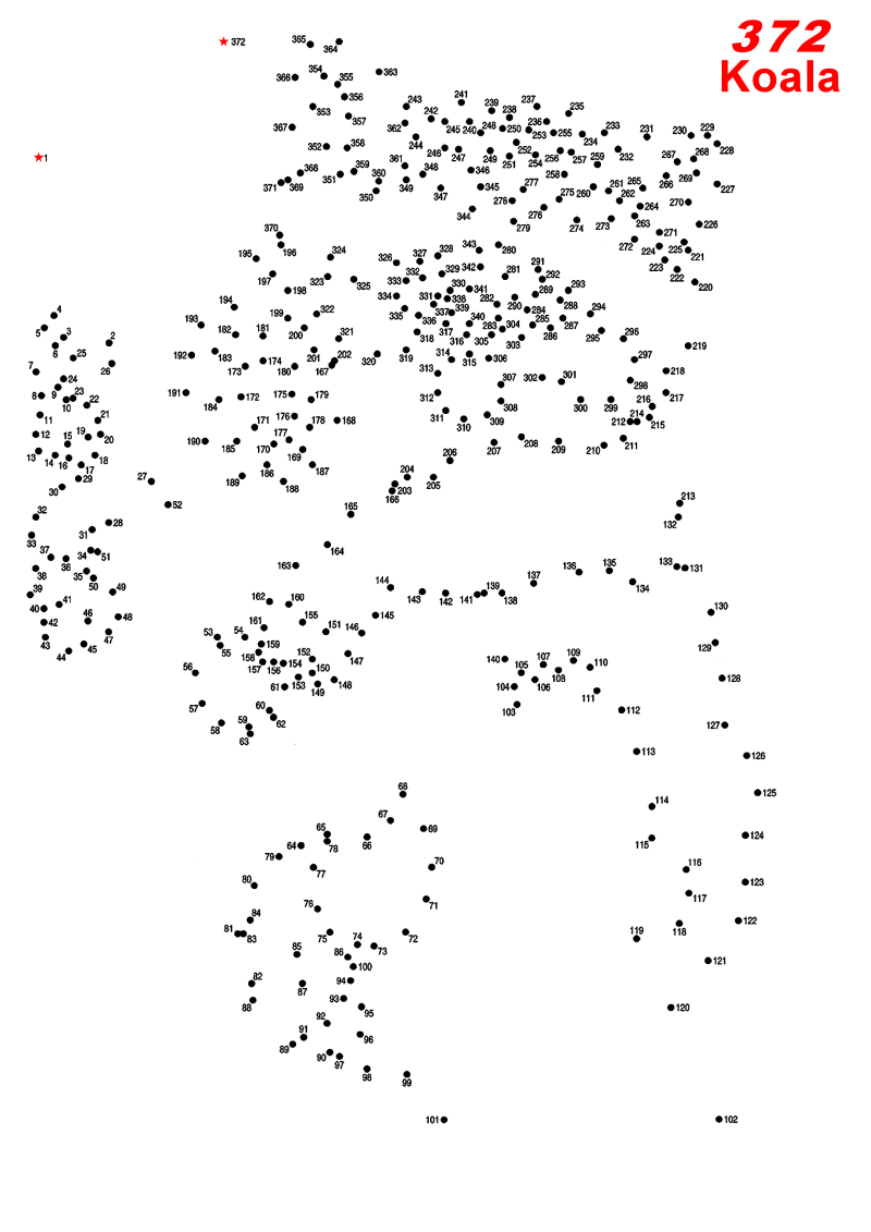 372-points-koala-standard-zq8c73.png