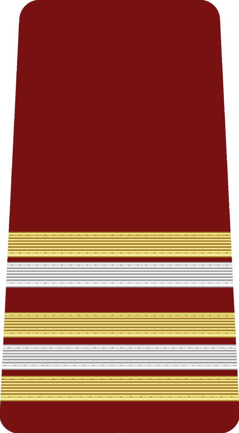 39-m-decin-lieutenan-colonel-standard.png