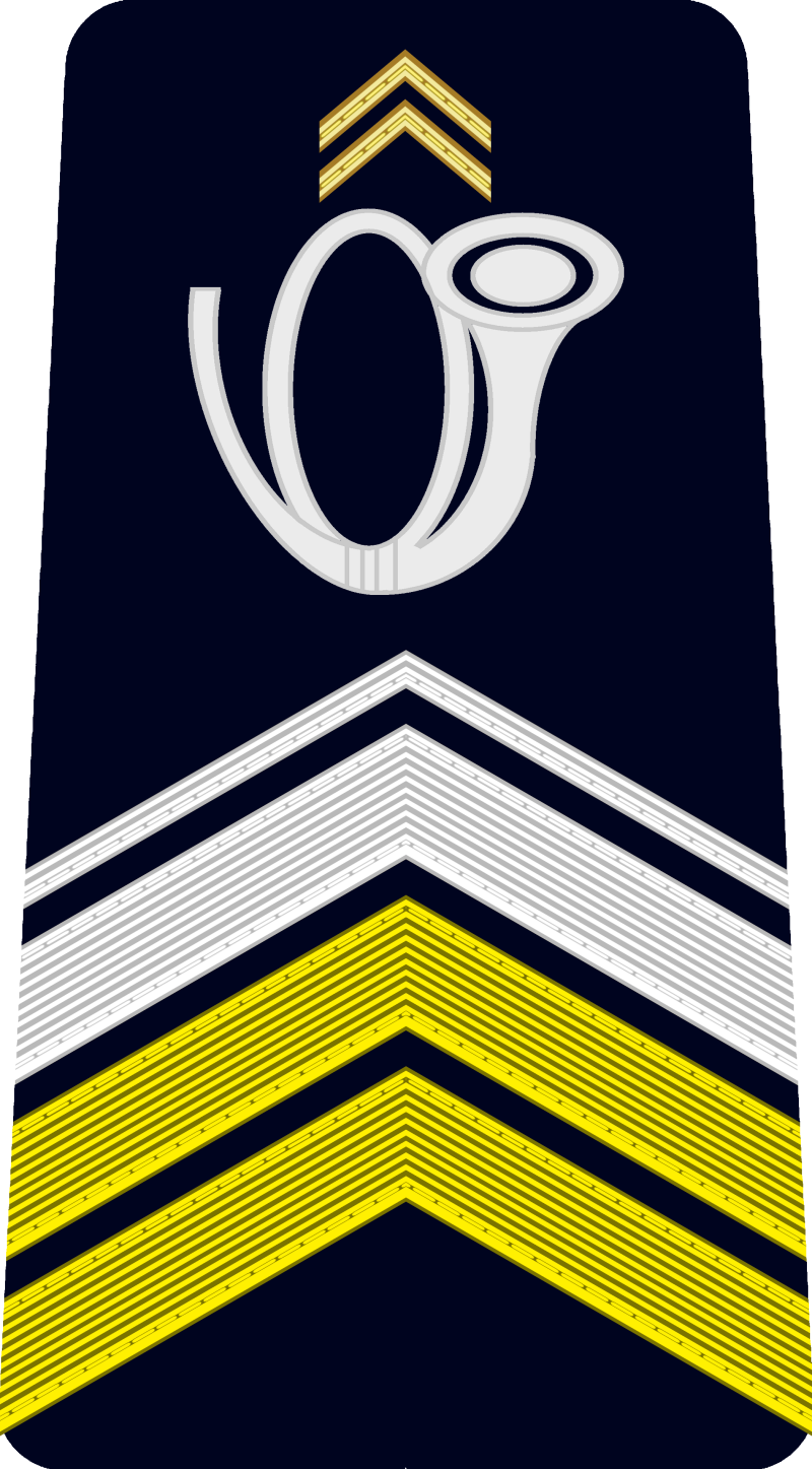 4-caporal-chef-ou-brigadier-chef-standard-c3ywpc.png