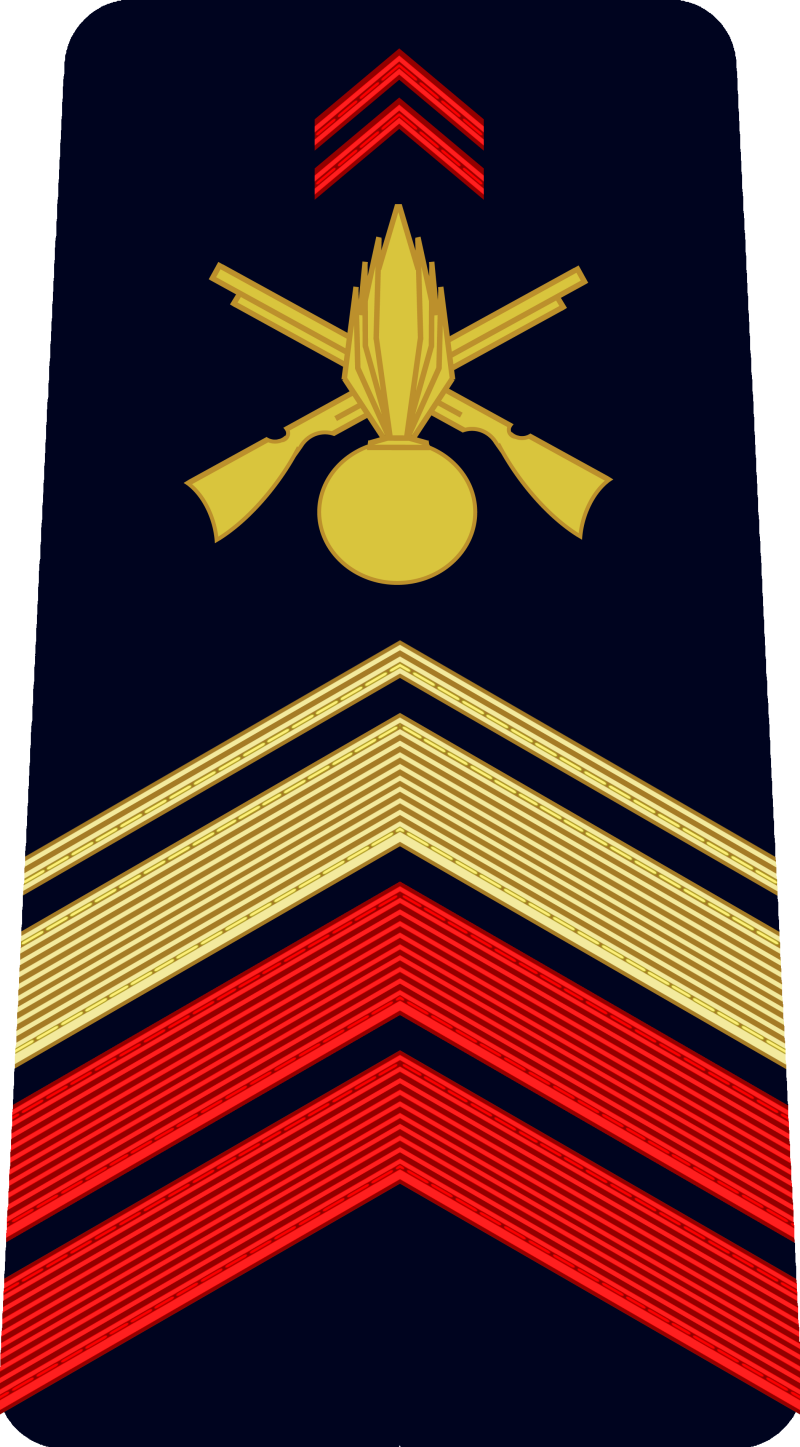 4-caporal-chef-ou-brigadier-chef-standard.png