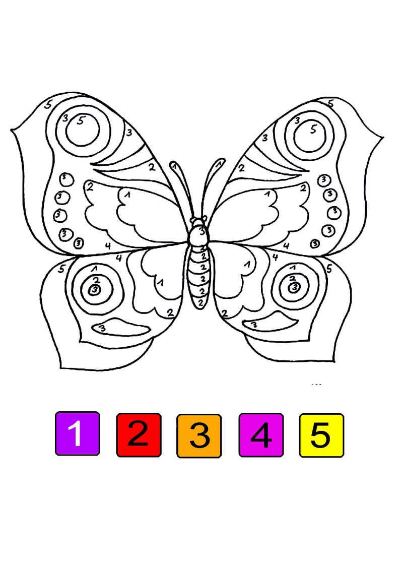 5-couleurs-papillon-2-standard-qd671x.png