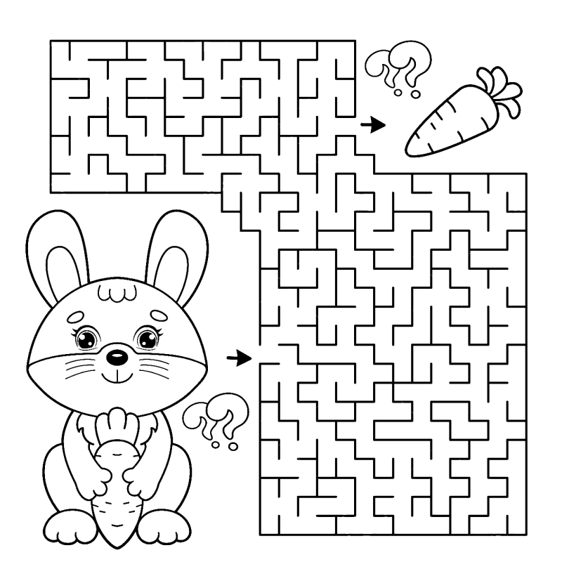 506-lapin-standard-4sqkb5.png