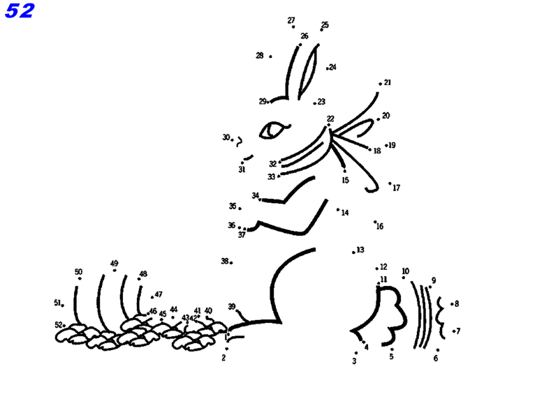 52-points-lapin-standard-zmokhx.png