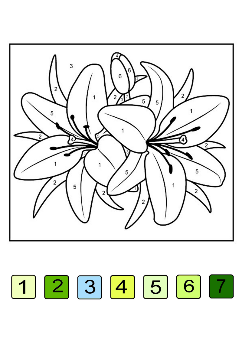7-couleurs-fleur-3-standard-k0a2le.png