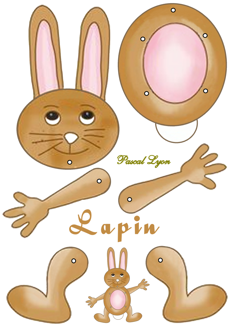 702-lapin-standard.png