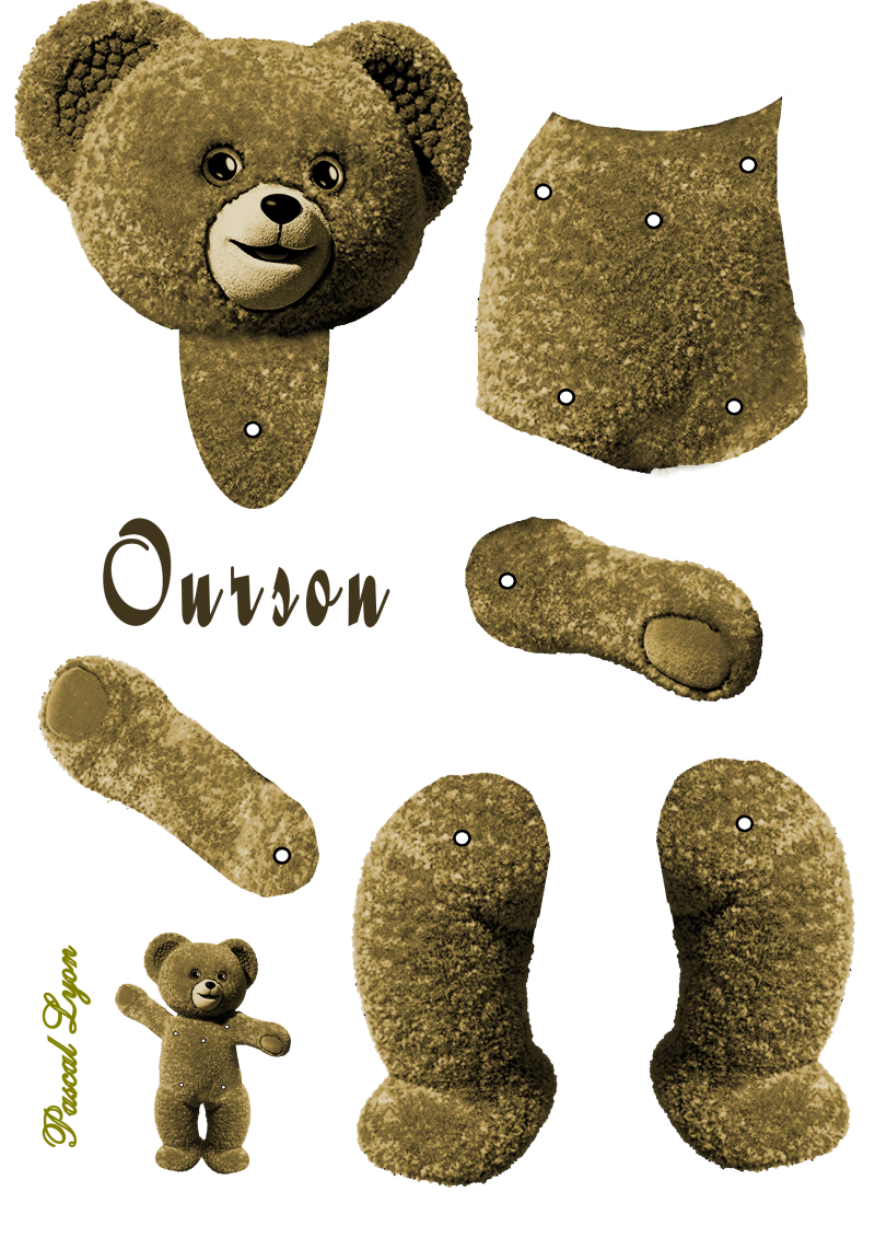 764-ourson-001-standard.png