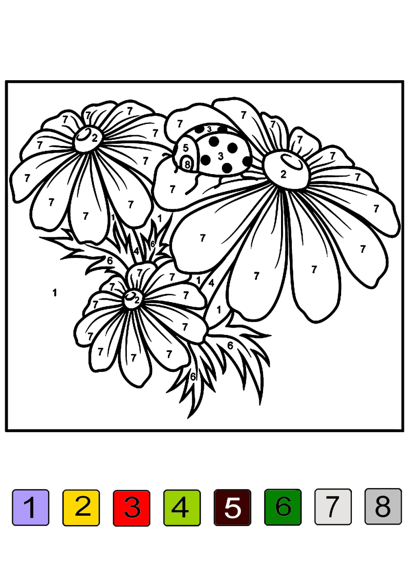 8-couleurs-fleur-1-standard-wedb2l.png