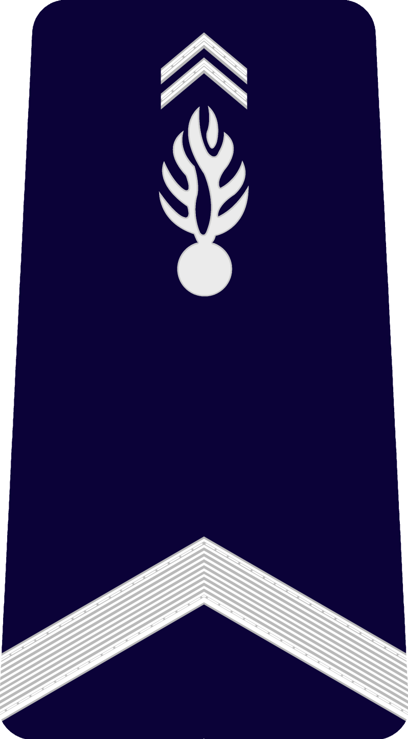 8-gendarme-standard-lw8a1c.png