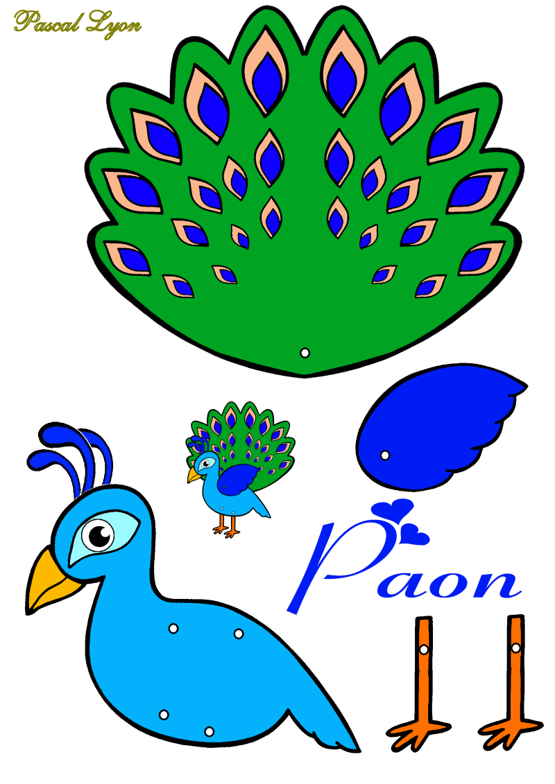 918-paon-standard-7tzvn5.png