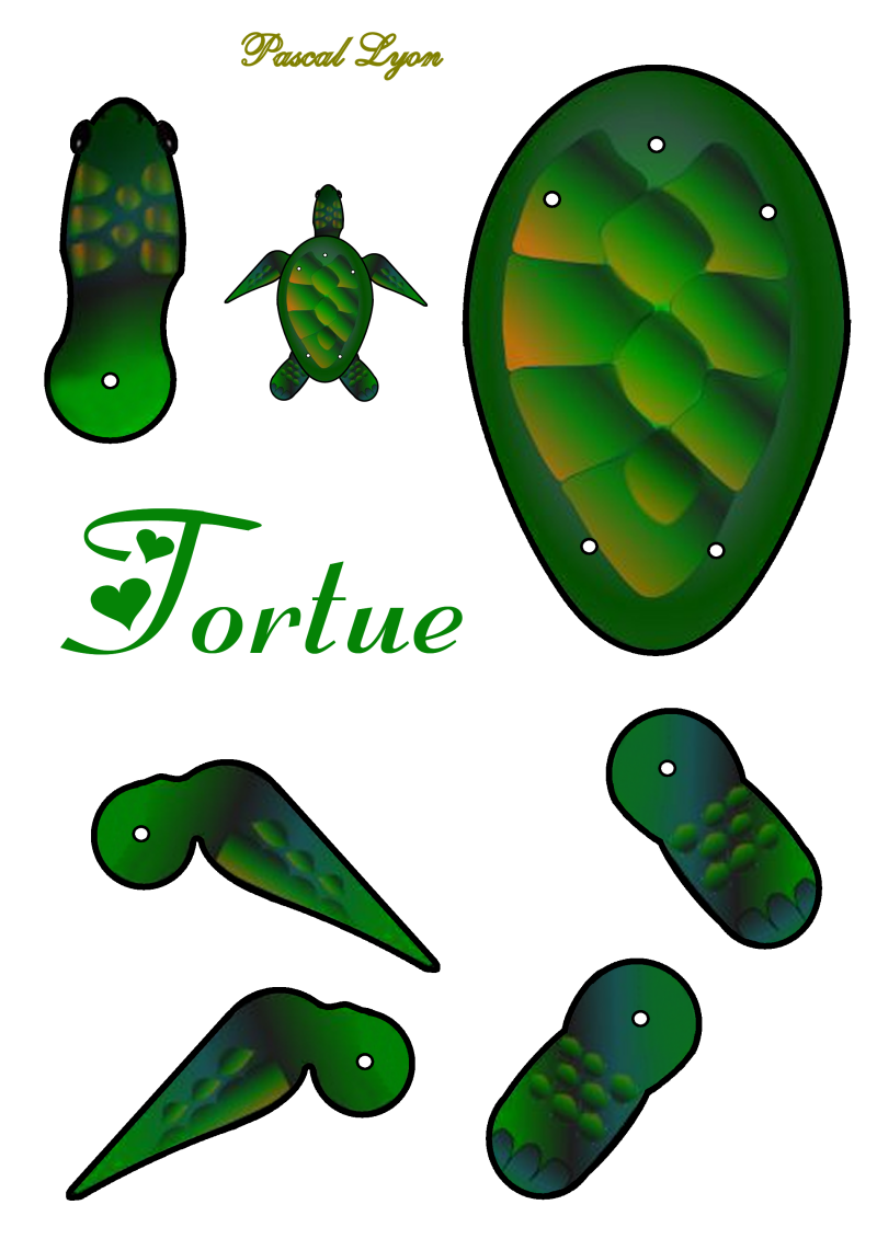 929-tortue-standard-jvcp03.png