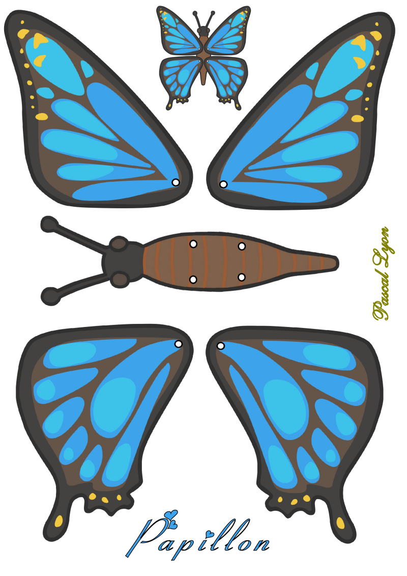 930-papillon-standard-28fid8.png