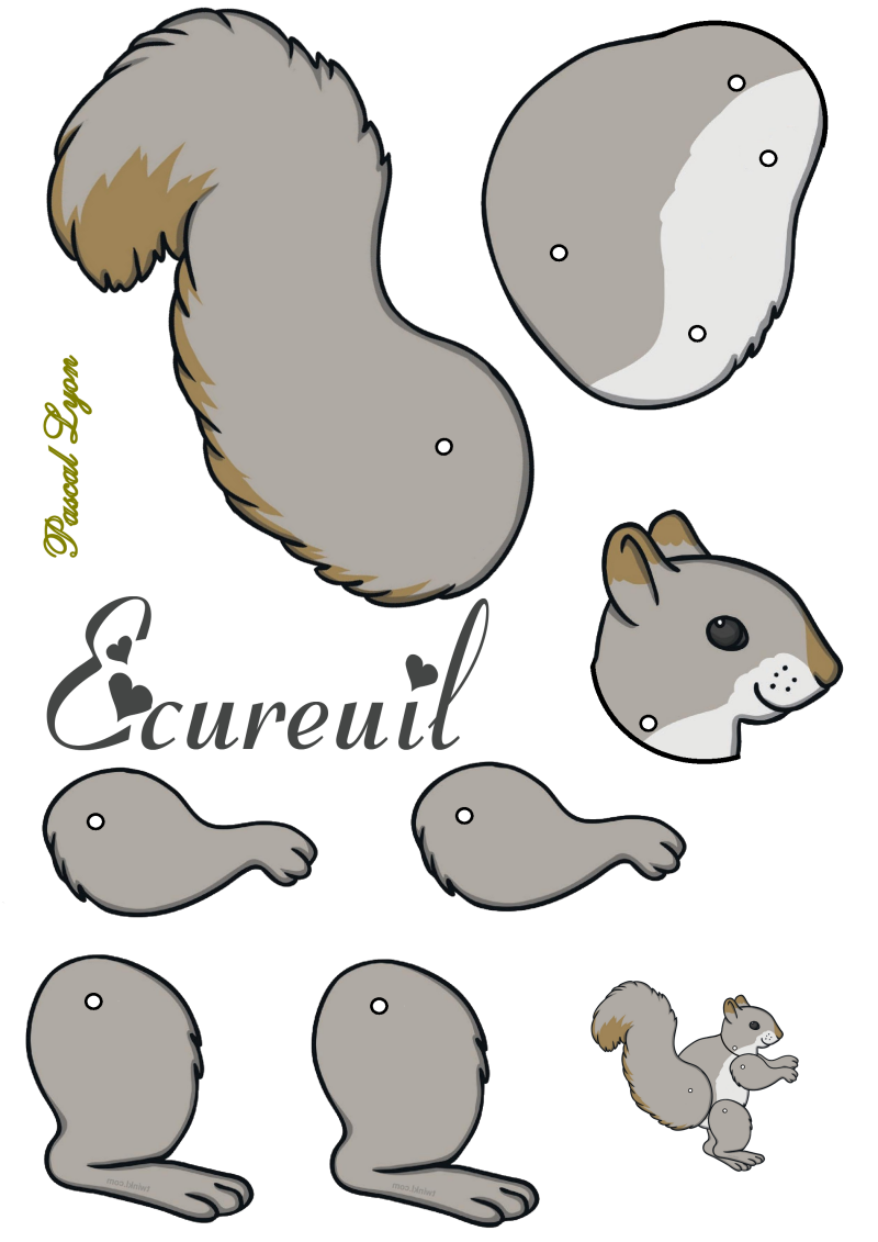 935-cureuil-standard-9qr39n.png