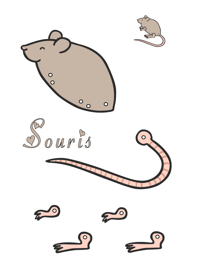 970-souris-standard-2rg2mz.png