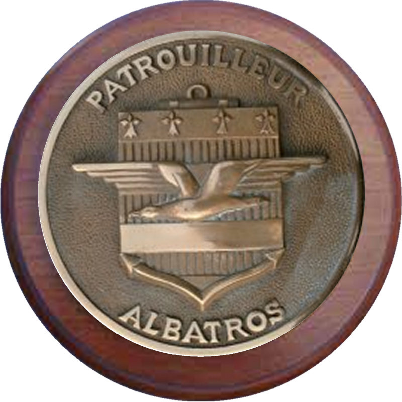 albatros-standard-lqbju3.png