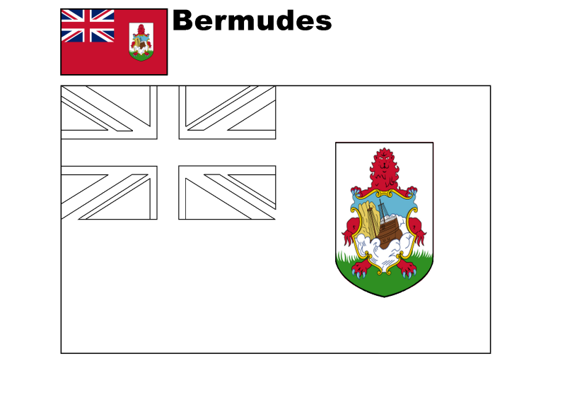 bermudes-standard.png
