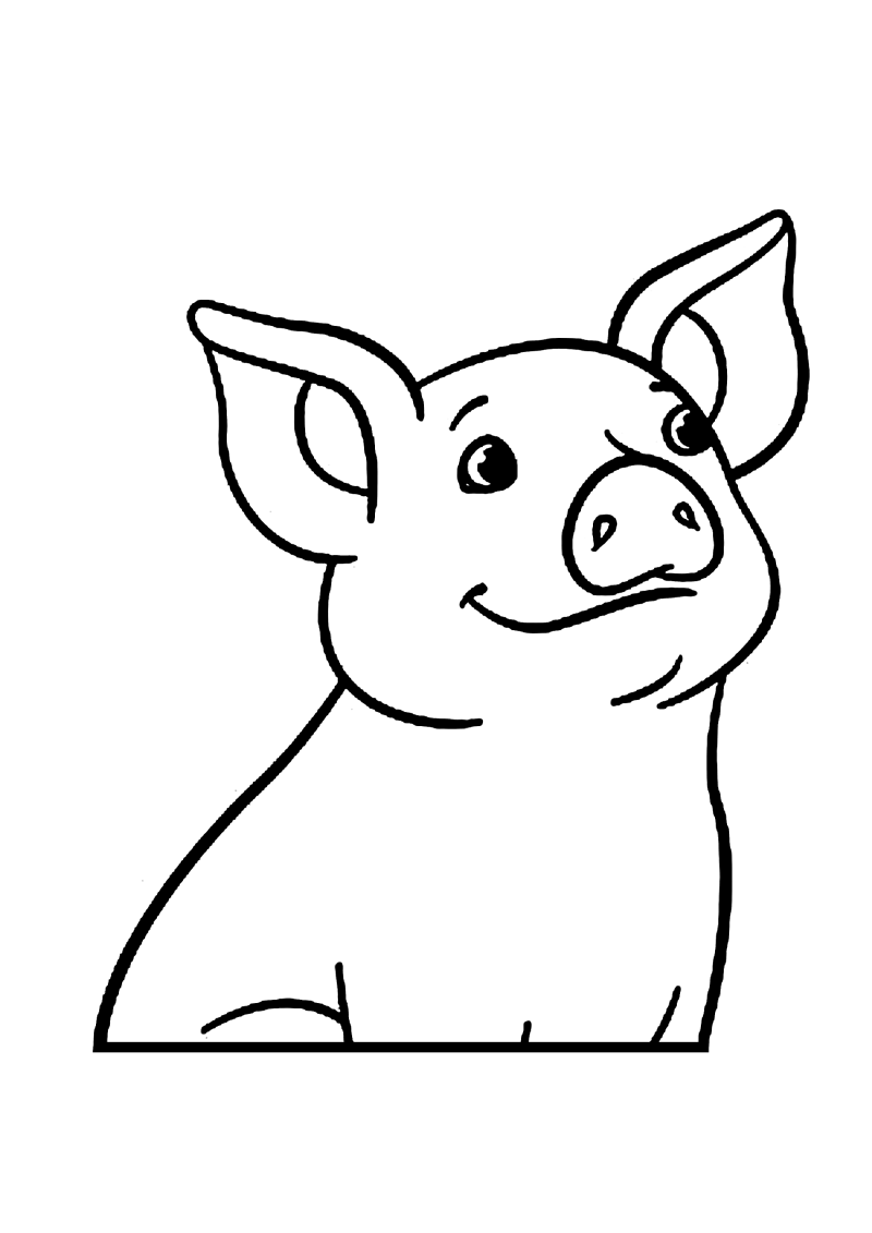 cochon212-standard-x6m0h6.png